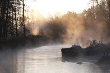 An der neuen Pader zwischen Fürstenallee und Padersee | Friedhelm Kirst